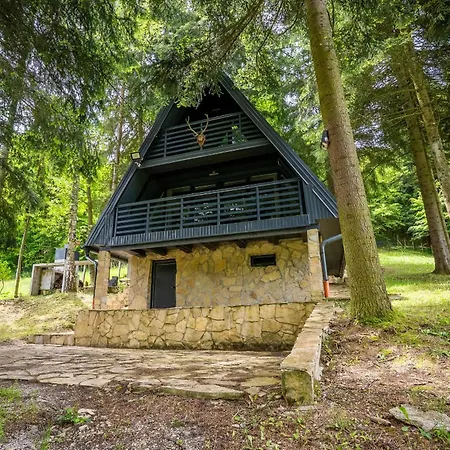 Апартаменты Tarcin Forest A Frame *