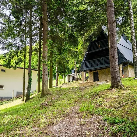 Tarcin Forest A Frame Апартаменты *