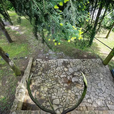 Апартаменты Tarcin Forest A Frame