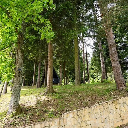 Tarcin Forest A Frame *